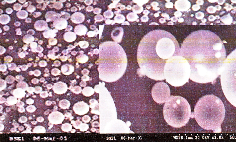 中空球体が隙間を埋め板状になるところの顕微鏡写真